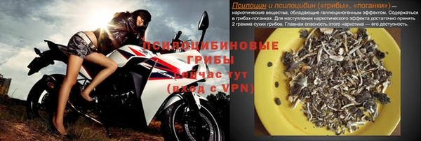 спиды Арсеньев