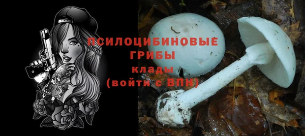 спиды Арсеньев