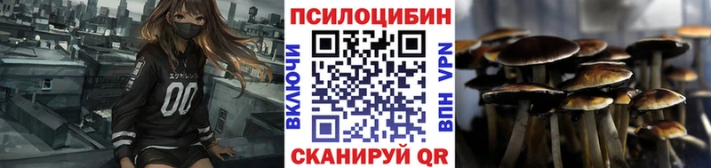 Псилоцибиновые грибы Psilocybe  гидра рабочий сайт  Волжск 